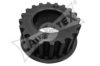 CAUTEX 021305 Gear, crankshaft